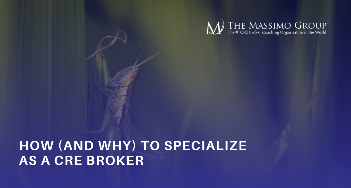A close-up of a grasshopper camouflaged among green leaves, overlaid with The Massimo Group logo and the title 'How (and Why) to Specialize as a CRE Broker' in bold white text on a blue gradient background.