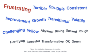 A word cloud graphic where word size indicates frequency. The word "Frustrating" is the largest and colored red. Moderate frequency words in blue include "Struggle," "Consistent," "Growth," and "Improvement." Smaller gray words include "Abyssal," "Sucked," and "Transformative."