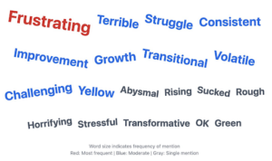 A word cloud titled "CRE Professionals' Key Words 2024" illustrating responses from commercial real estate brokers about their year. The largest and most prominent words are "Frustrating" (in red) and "Struggle" (in blue), followed by moderately sized words such as "Terrible," "Consistent," "Improvement," "Growth," "Transitional," "Volatile," and "Challenging" (in blue). Smaller words in gray include "Abysmal," "Horrifying," "Stressful," "Transformative," "Sucked," "Rough," "OK," and "Green." A footnote explains that word size indicates frequency of mention, with red being most frequent, blue moderate, and gray representing single mentions.